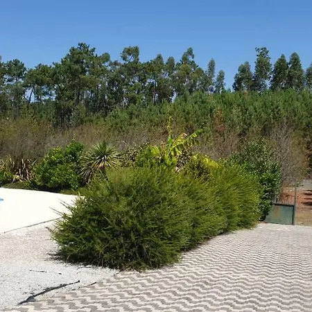 Guest house Casa De Luz Leiria